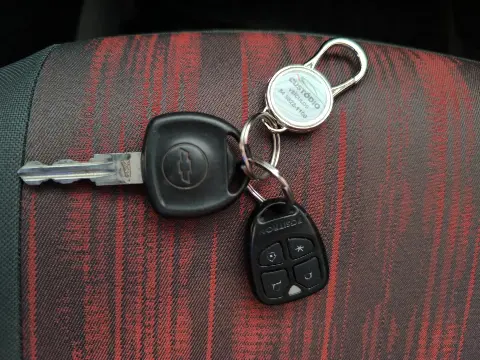 Miniatura 10