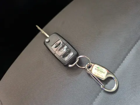 Miniatura 19